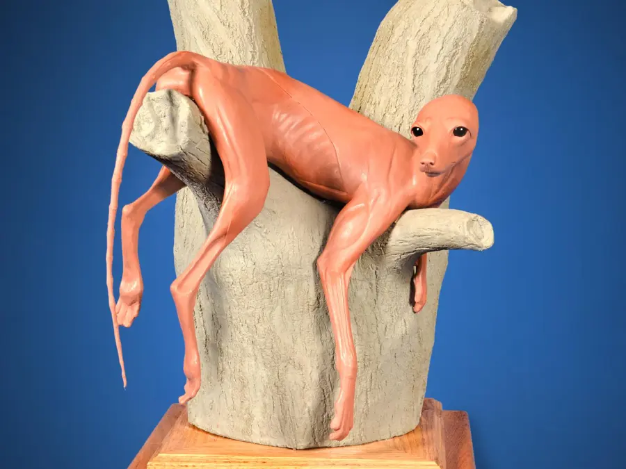 Grey Fox by Dave Pearson - Lifesize Clay Sculpture 2nd Place, 2026 NTA Championship