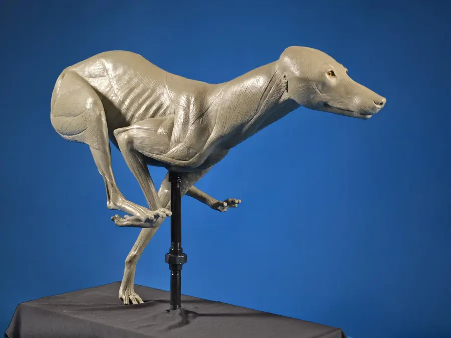 Coyote by Dave Pearson - Lifesize Clay Sculpture 1st Place, 2026 NTA Championship