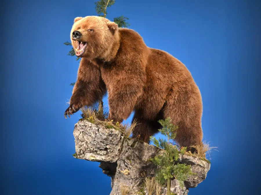 Grizzly Bear by Derek Bourke - Collective Artist 2nd Place, 2026 NTA Championship