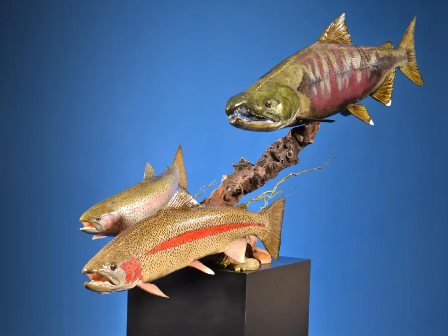 Chum Salmon by Chad See - Reproductions - Fish & Reptile 3rd Place, 2026 NTA Championship