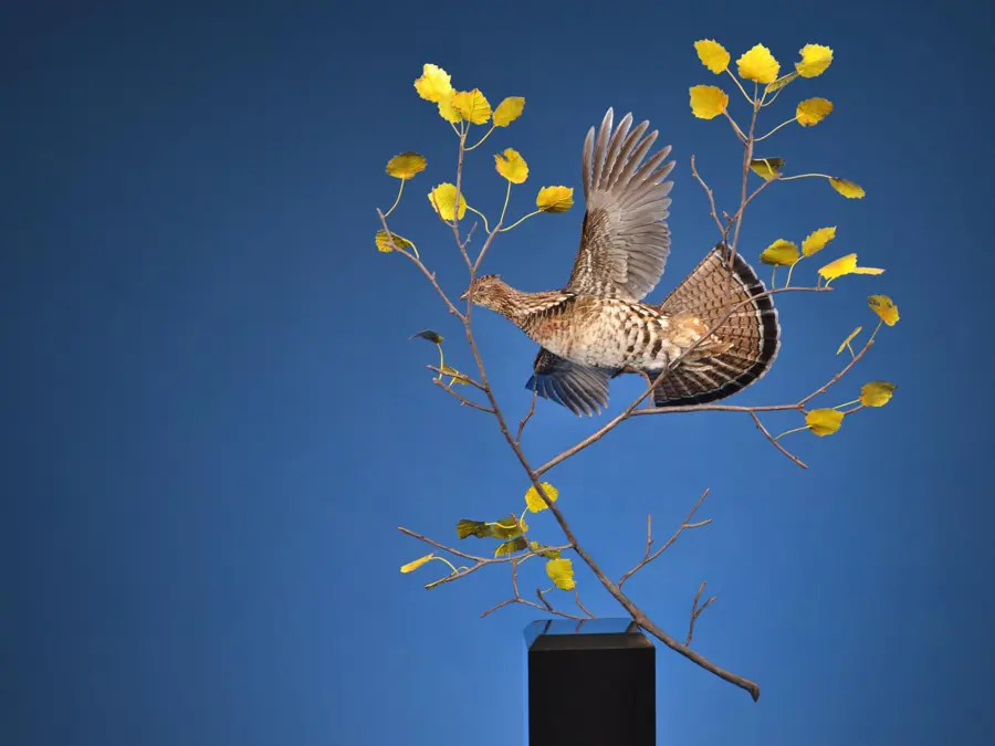 Ruffed Grouse by Kent Reedy - Challenge of the Art 2nd Place, 2026 NTA Championship