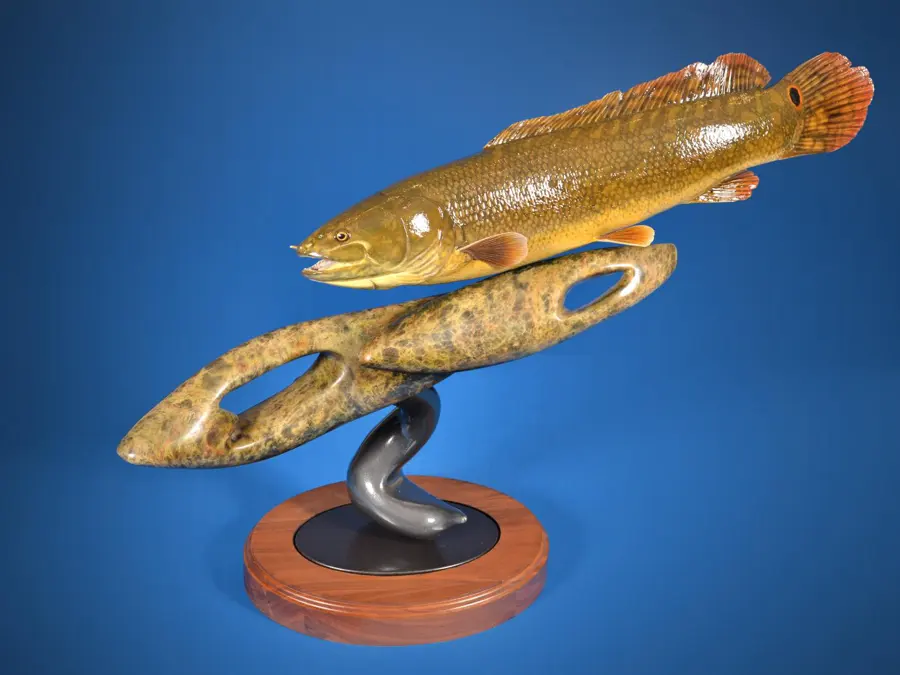 Bowfin by Tim Perkins - Warmwater Fish - Skin Mount 3rd Place, 2026 NTA Championship