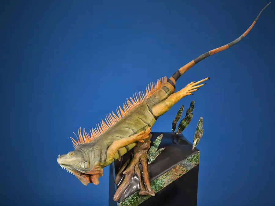 Iguana by Chip Wendt - Reptile - Skin Mount 3rd Place, 2026 NTA Championship