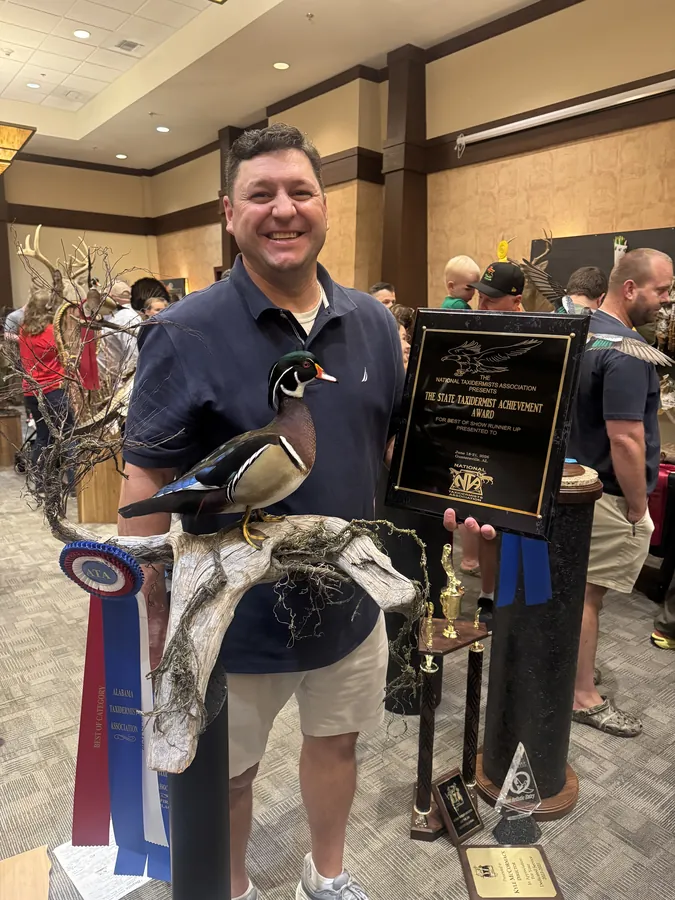 Wood Duck by Shane Candler, State Taxidermist Achievement Award winner for Alabama