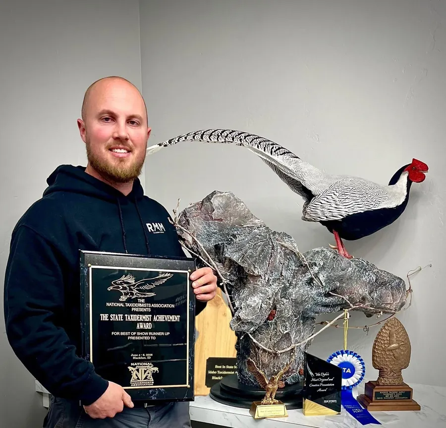 Silver Pheasant by Daniel Davis, State Taxidermist Achievement Award winner for Idaho