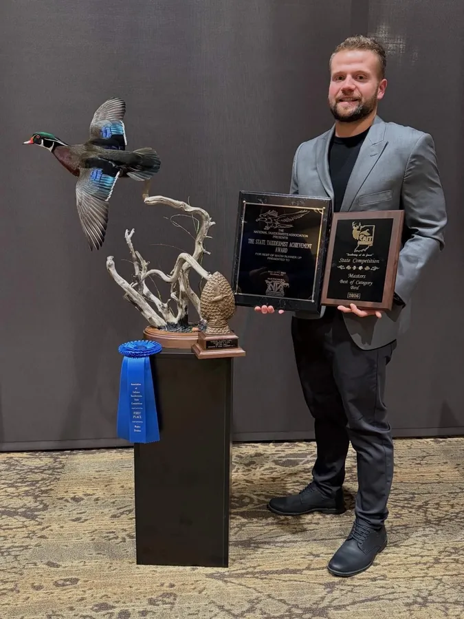 Wood Duck by Aaron Miller, State Taxidermist Achievement Award winner for Indiana