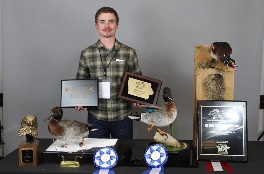 Mallard by Brett Henderson, State Taxidermist Achievement Award winner for Iowa