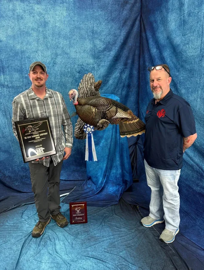 Turkey by Brian Vogelpohl, State Taxidermist Achievement Award winner for Minnesota