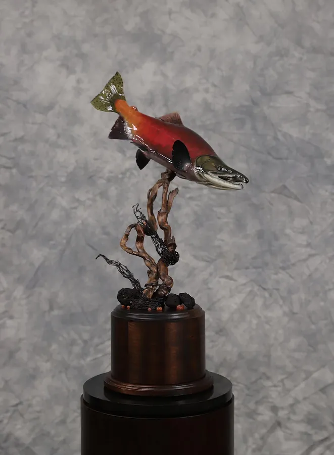 Coho Salmon by Rich White, State Taxidermist Achievement Award winner for Montana
