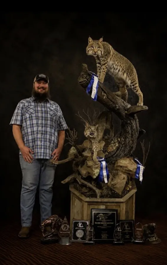 Bobcat by Trenton Thornburg, State Taxidermist Achievement Award winner for Nebraska